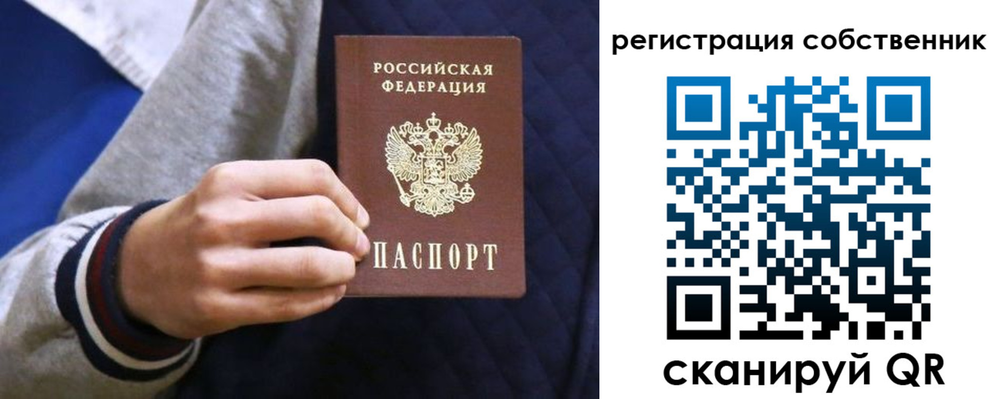 прописка поиск в Зее